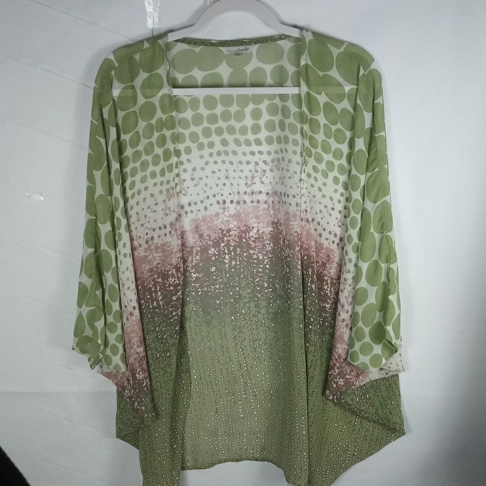 2 for $15 CHARMING CHARLIE Sheer Kimono